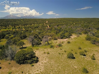 0 Williams Rd Unit 4601365, Walsenburg, CO 81089