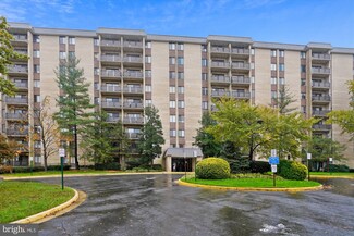 3100 S Manchester St Unit 612, Falls Church, VA 22044