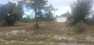 446 Hoover Ave NE, Lake Placid, FL 33852