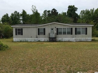 532 E Highway 378 Hannah, Johnsonville, SC 29555