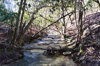 118 acres - Hanging Rock Park Rd, Danbury, NC 27016