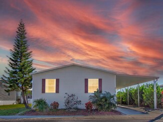 8506 Fantasia Park Way, Riverview, FL 33578