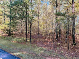 102 Flamingo Point, Cross Hill, SC 29332