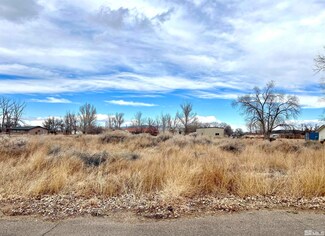21 Cherry Ln, Yerington, NV 89447