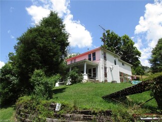 606 Bear Run Rd, Cairo, WV 26337