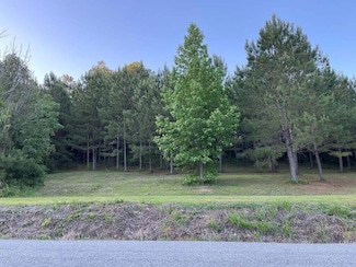 1461 Sloan Gap Rd, Ocoee, TN 37361