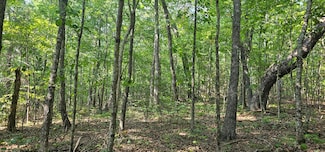 266 Cove Hill Rd, Pikeville, TN 37367