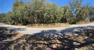 1691 E Sheridan Ln, Hernando, FL 34442