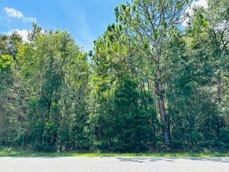 705 SW 4th Ave, Chiefland, FL 32626