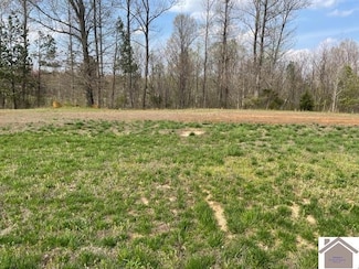 130 Low Ridge Ln, Paducah, KY 42003