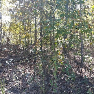 l0t 10 Blk 1 Caithness Dr, Bella Vista, AR 72715