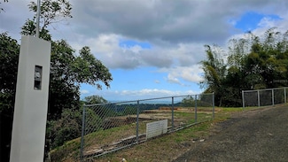 Carr. 355, Km. 0.1 Bo Río Cañas, Las Marias, PR 00670