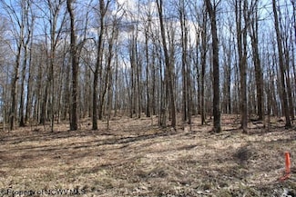 Lot 6 Sand Bank Heights Rd, Masontown, WV 26542