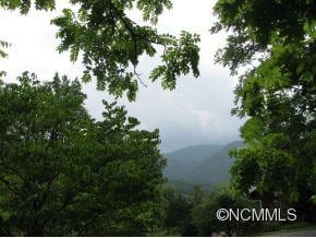 00 Woodring Cemetery Rd, Tuckasegee, NC 28783