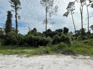 102 Moon Lake Dr, Crescent City, FL 32112