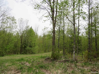 14108 Fire Tower Rd Unit Lat: 46.49372 Lon: -, Sidnaw, MI 49962