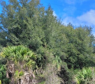 40500 Emeralda Island Rd, Leesburg, FL 34788