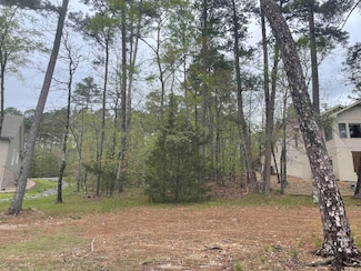 74 Justa Via Way, Hot Springs Village, AR 71909