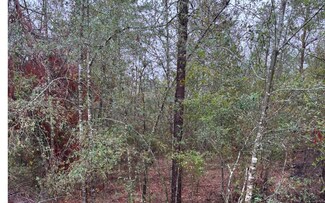 TBD 33rd Loop, Jasper, FL 32052