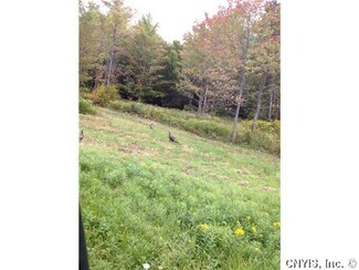 0 Deans Pond Rd Unit S315777, Marathon, NY 13803