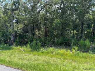 8108 N Shannon Ave, Crystal River, FL 34428