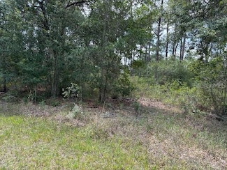 213 Plumosa Dr, Lake Wales, FL 33855