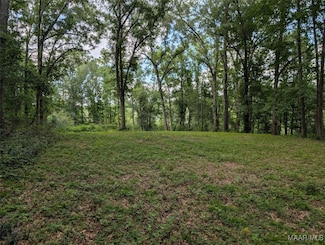 0 Melt Flowers Rd, Troy, AL 36081
