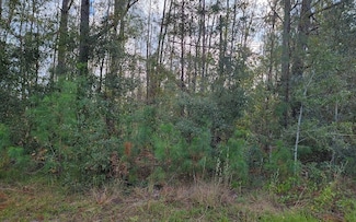 TBD 61st Ct, Jennings, FL 32053