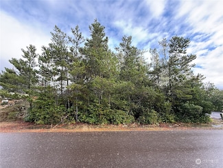 254 Olympic View Ave NE, Ocean Shores, WA 98569