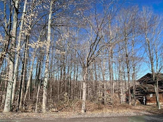 Lot 16 Winter's Edge Dr, Davis, WV 26260
