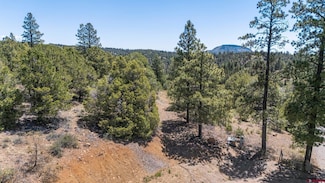 275 Logging Trail Rd, Durango, CO 81303