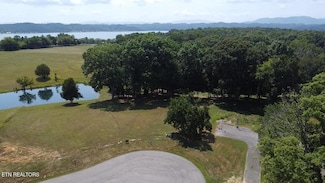 lot 6&7 Ancient Oaks Ct, White Pine, TN 37890