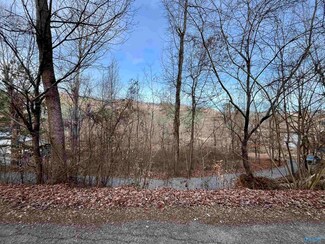 LOT 4 & LOT 5 Pine Island Point, Scottsboro, AL 35769