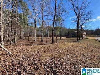 2 Troon Unit H6, Birmingham, AL 35242