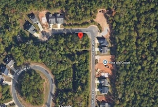 425 Lightness Dr, Auburn, AL 36832