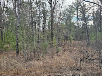 0 Wisconsin 173, Babcock, WI 54413