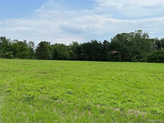 00 Van Dyke Rd, Almont, MI 48003
