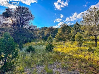 16116 Cala Rojo Dr, Colorado Springs, CO 80926