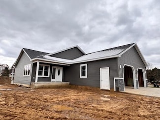 217 Birch St, Litchfield, MI 49252