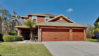 20342 Merry Oak Ave, Tampa, FL 33647