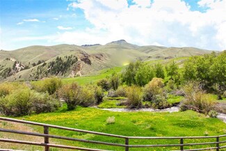 324 Basin Creek Rd, Salmon, ID 83465