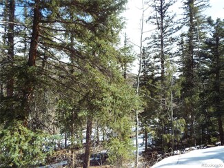 1729 Clarke Mountain Rd, Antonito, CO 81120