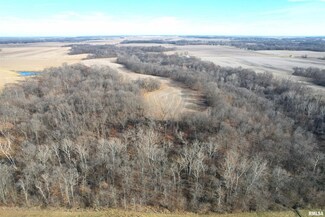 0 Illinois 106, Alsey, IL 62610