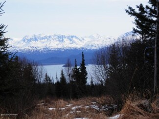 36486 Wild Haven Rd, Fritz Creek, AK 99603