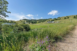 3908 Twisted Oak Rd, Sturgis, SD 57785