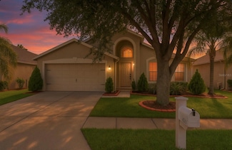 4206 Branchside Ln, Wesley Chapel, FL 33543