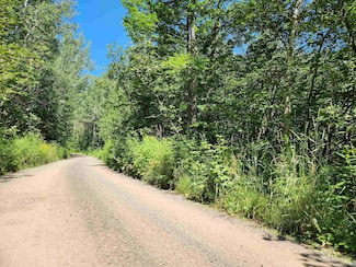 XX Black Granite Tr, Hovland, MN 55606