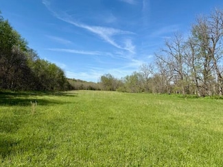 000 County Road 117, Ava, MO 65608