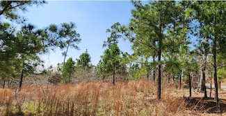 TBD N Oahu, Bastrop, TX 78602
