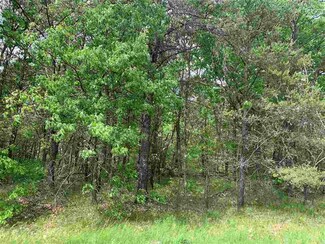 L2 Duck Creek Ct, Adams, WI 53910